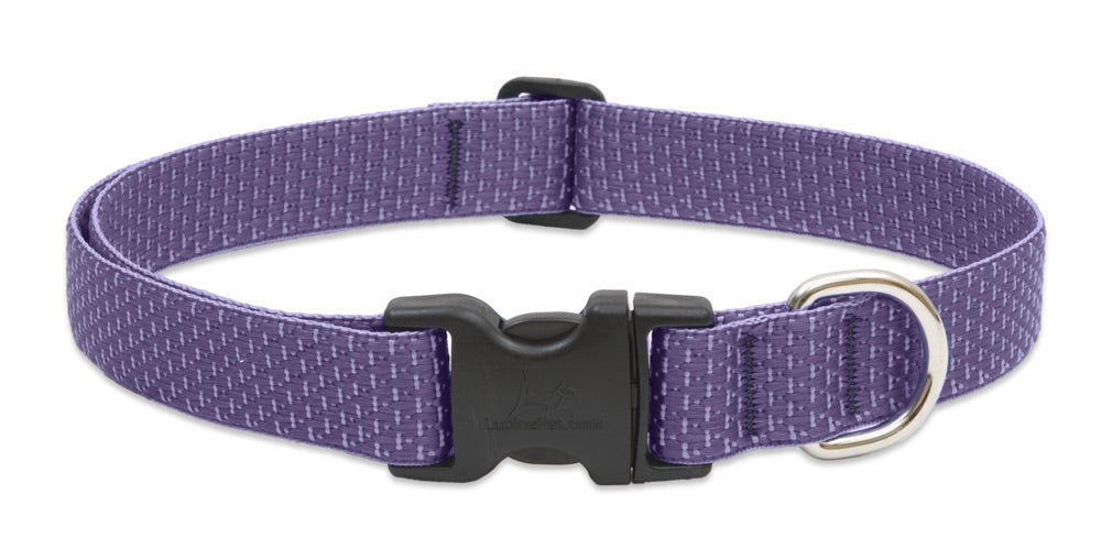 Lupine ECO Collars - SnowPaw Store - Lupine - Dog Collars, Leads, Belts